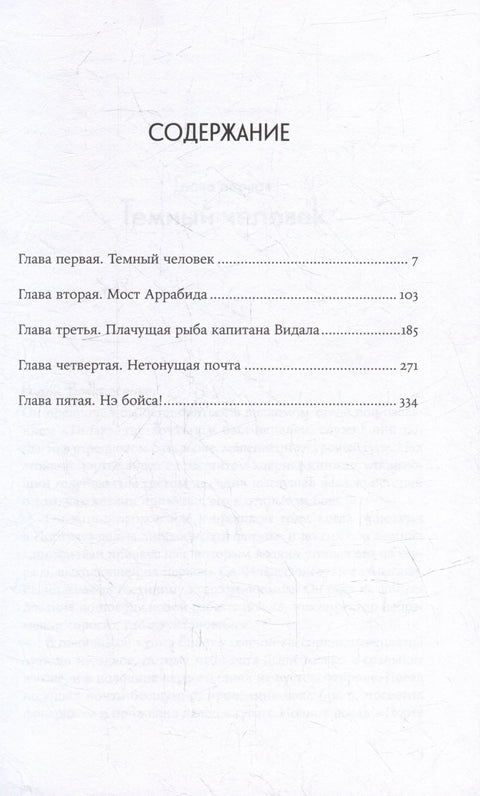 Радин: роман