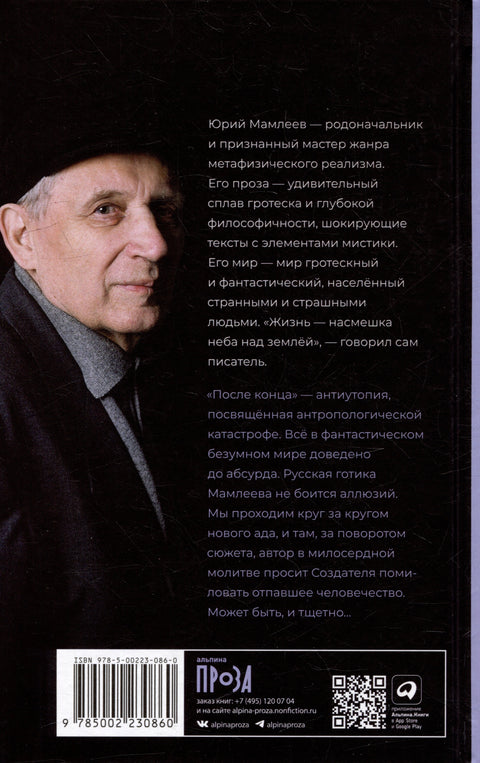 После конца: роман