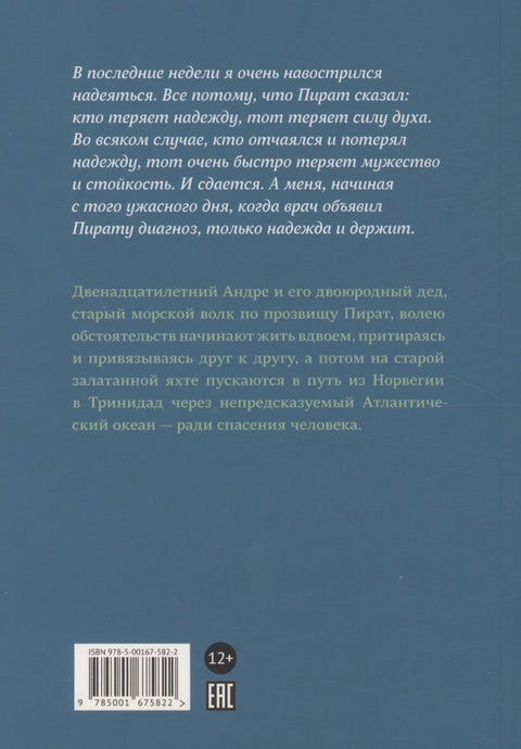 Мой друг пират