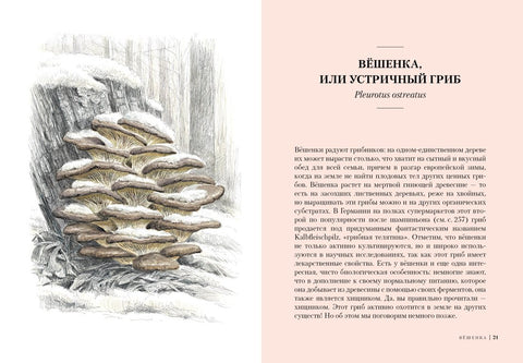 Грибы: Обитатели скрытого мира