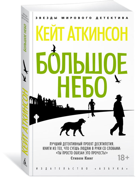 Большое небо