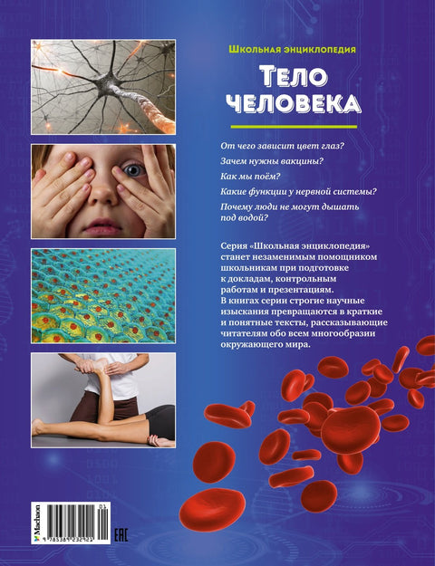 Тело человека