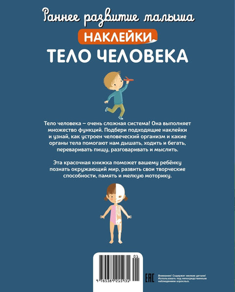 Тело человека