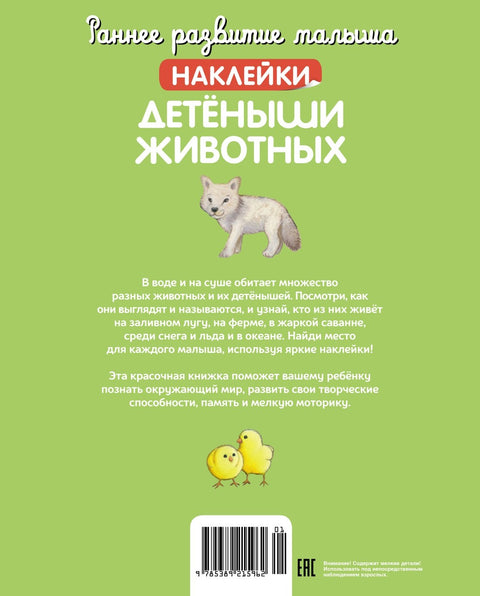 Детёныши животных