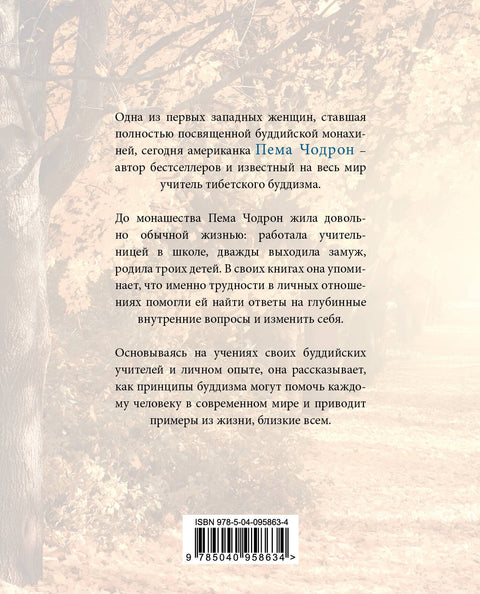 Когда все рушится. Сердечный совет в трудные времена