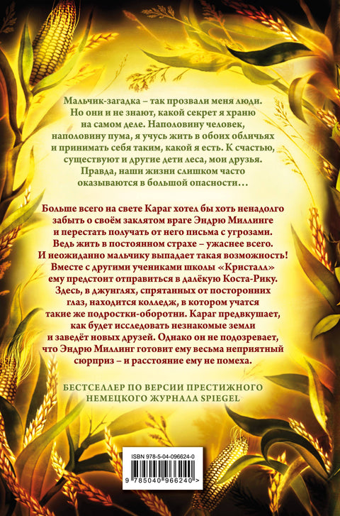 Дети леса. Месть пумы (#4)
