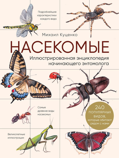 Hmyz. Ilustrovaná encyklopedie pro začínající entomology