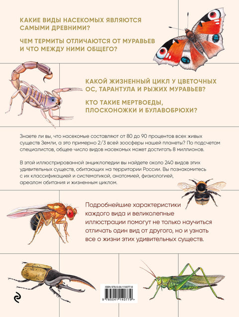 Hmyz. Ilustrovaná encyklopedie pro začínající entomology