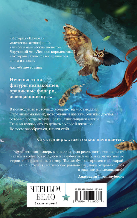 Шолох. Теневые блики
