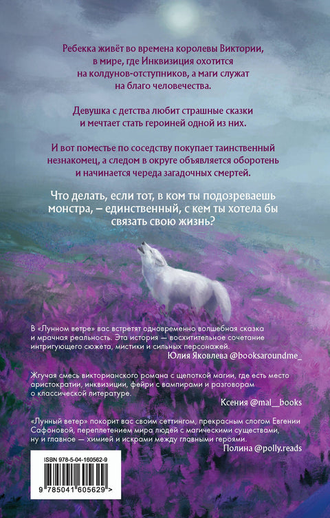Лунный ветер