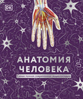 Анатомия человека. Энциклопедия DK