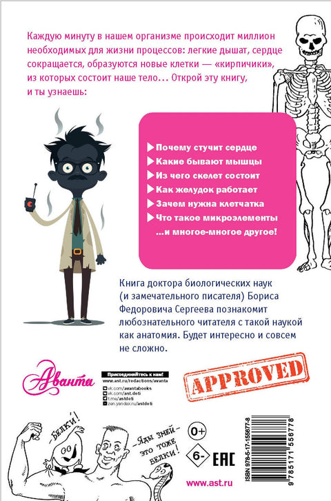 Как устроен человек