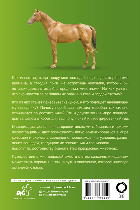 Koně. Ilustrovaný průvodce