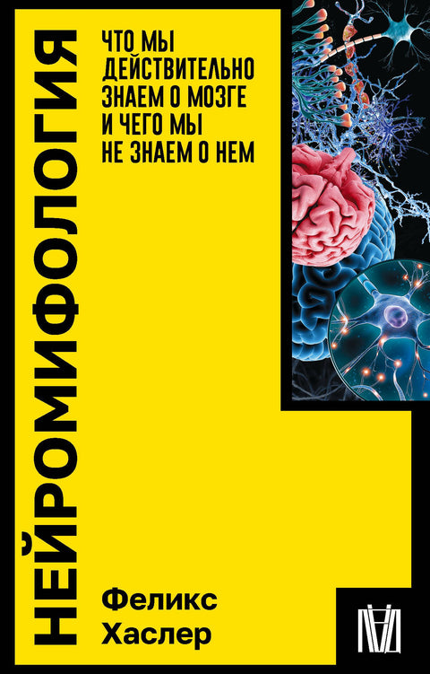 Neuromytologie: Co doopravdy víme o mozku a co o něm nevíme