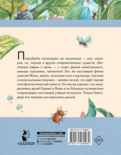 Необыкновенные приключения Карика и Вали