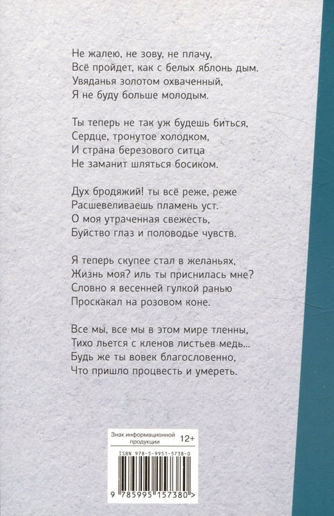 Внеклассное чтение. Не жалею, не зову, не плачу….