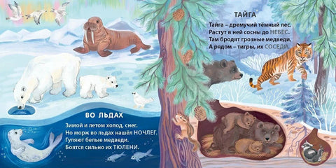 Кто где живет. Загадки-рифмы
