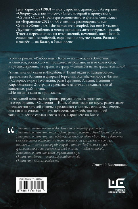 Выбор воды. Роман