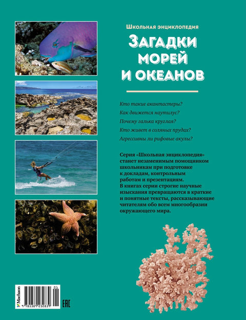 Загадки морей и океанов