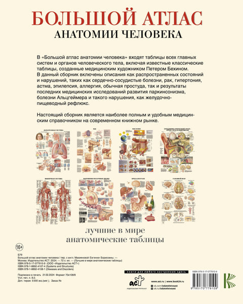 Большой атлас анатомии человека(в табл)