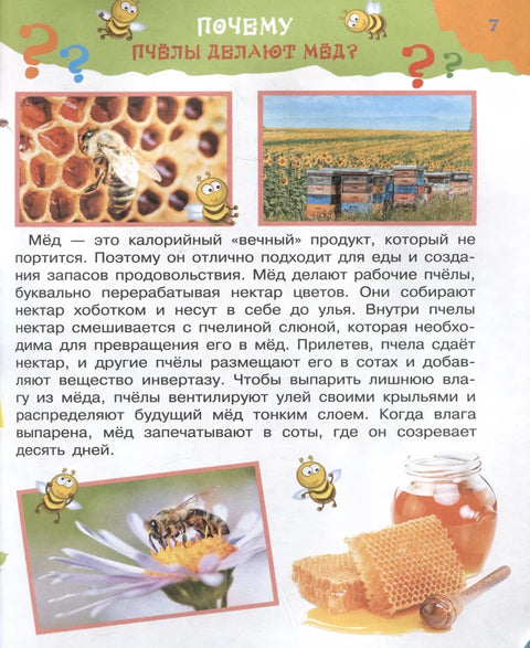 Большая книга почему