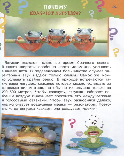 Большая книга почему