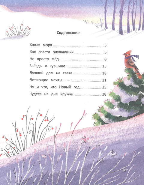 Звезды в кувшине