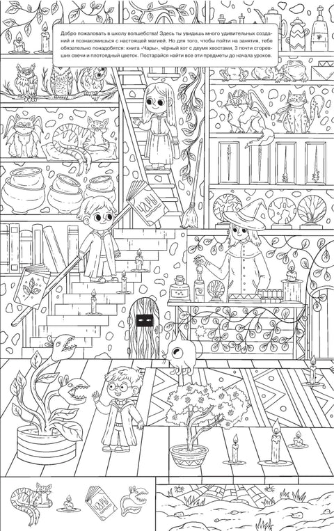 В школе волшебства