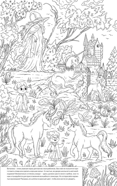 В школе волшебства