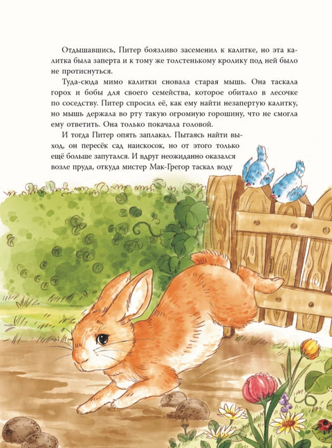 Питер-кролик и другие (ил. Хуамен Студио)