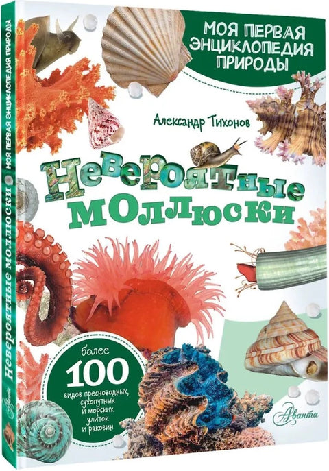 Měkkýši, korály, mořské hvězdice, mořští ježci