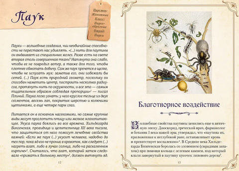 Магические животные. Легенды и суеверия