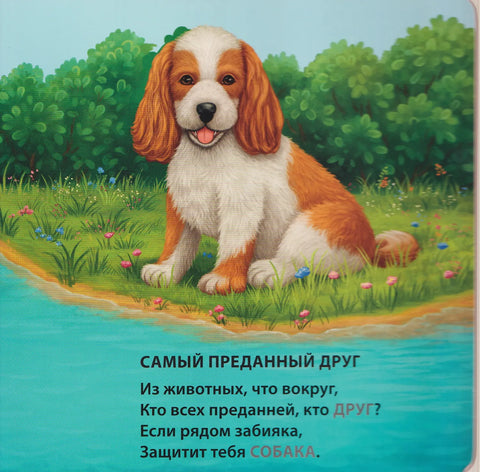 Самые-самые животные. Загадки - рифмы.
