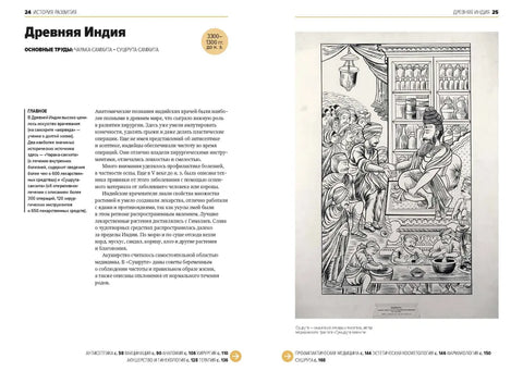 Главное в истории медицины. Хронология, врачи, ученые, открытия. От операций майя до искусственного