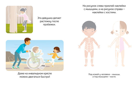 Тело человека