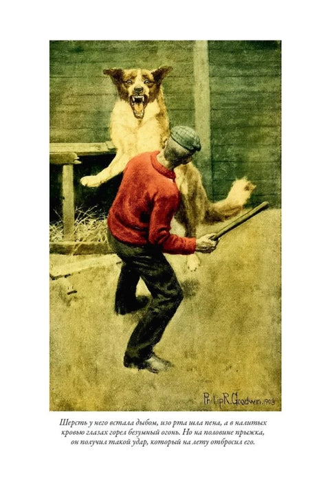 Зов предков. Белый клык. Рассказы