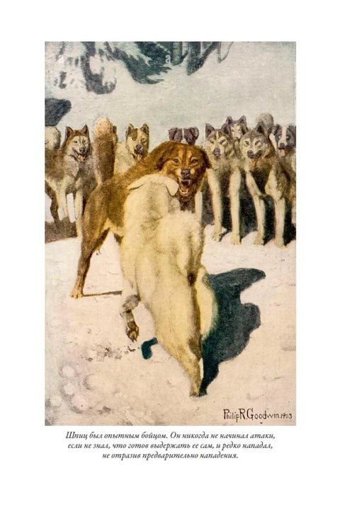 Зов предков. Белый клык. Рассказы