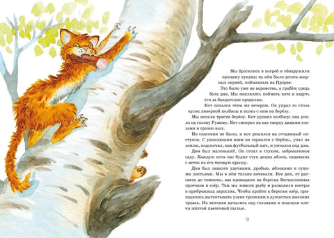 Кот-ворюга. Рассказы и сказки