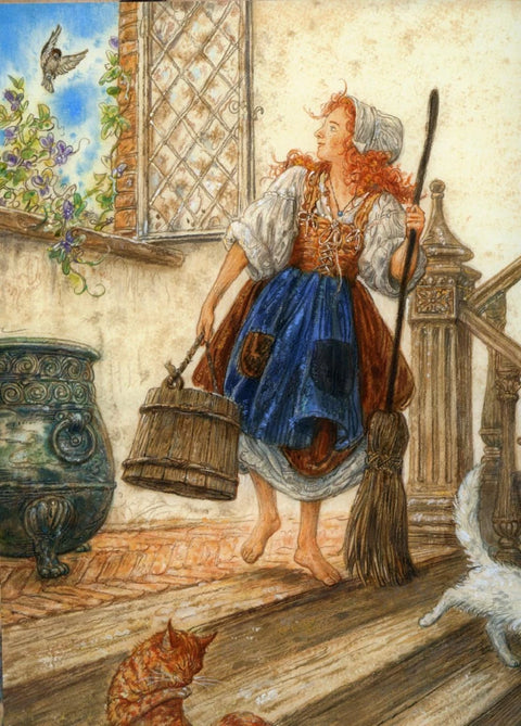 Книга Золушка