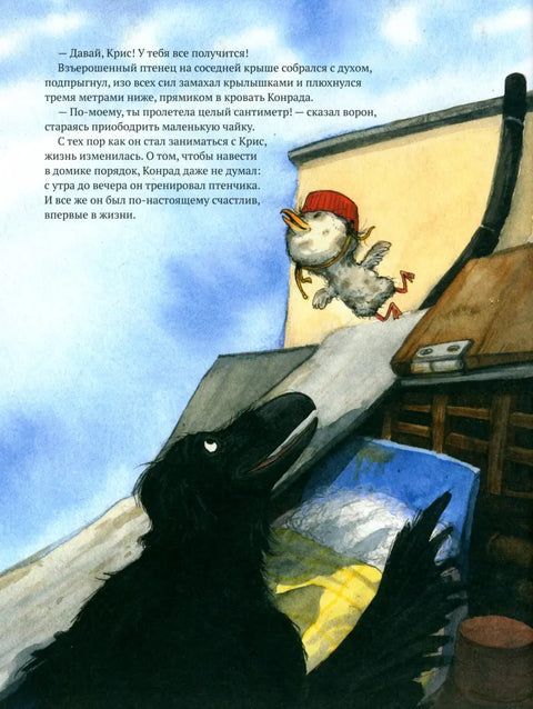 Конрад. Дело о фламинго