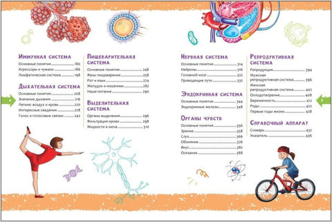Человек. Новая детская энциклопедия