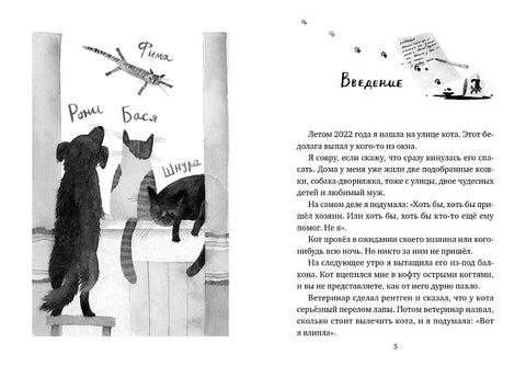 У кота была собака