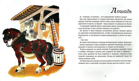 В деревне