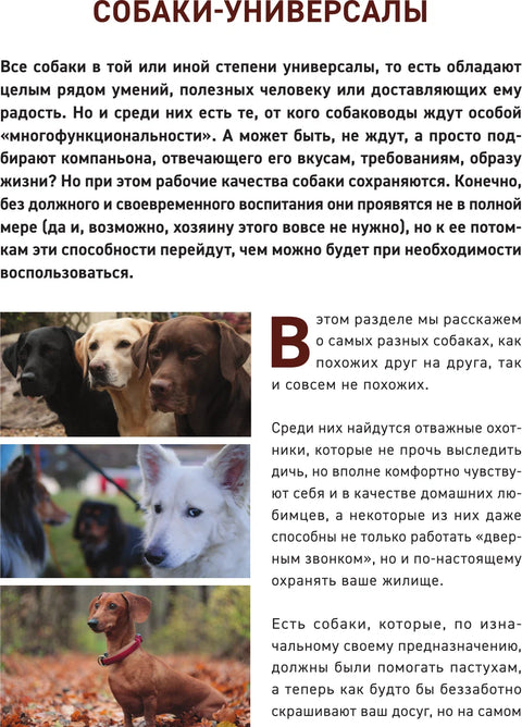 Všechna plemena psů. Velká ilustrovaná encyklopedie