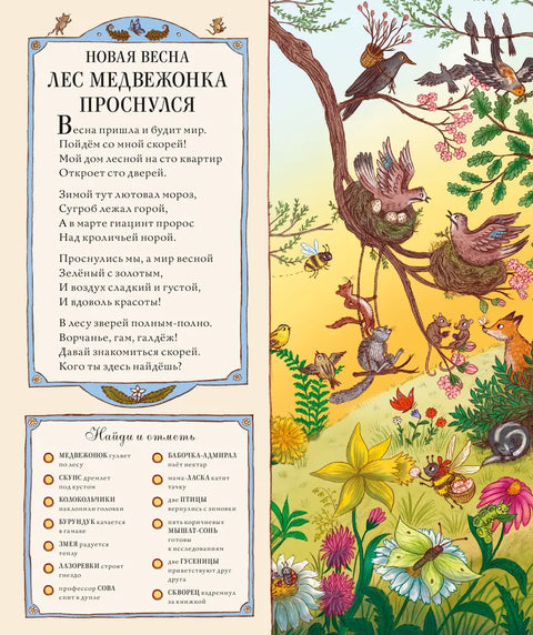 Круглый год в лесу. Виммельбух