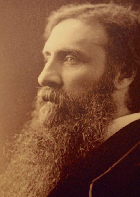 Волшебная страна и ее окрестности