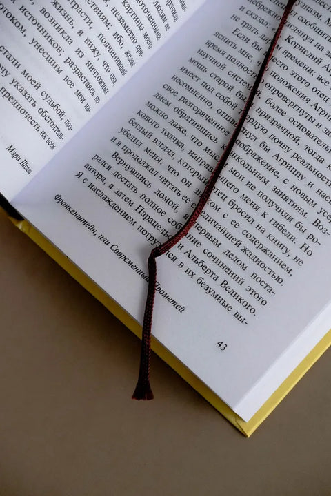 Франкенштейн, или Современный Прометей