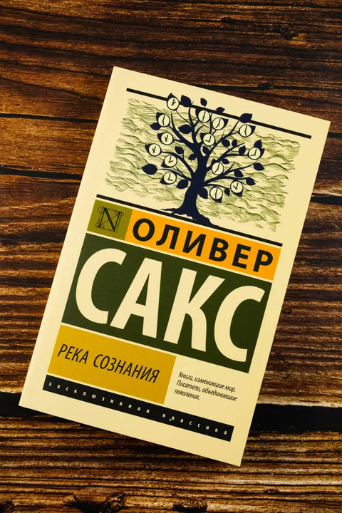 Река сознания
