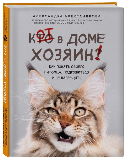 Кот в доме хозяин! Как понять своего питомца, подружиться и не навредить