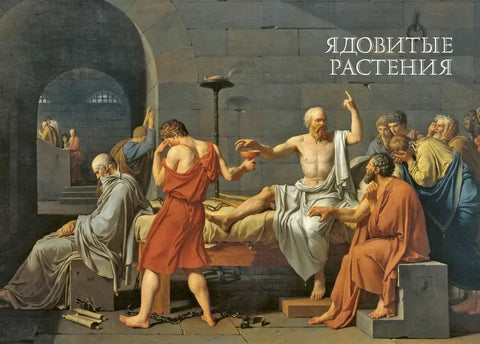 Яды. Секретная сила растений